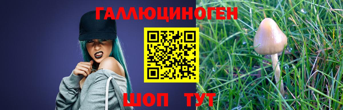 Псилоцибиновые грибы Magic Shrooms Дальнегорск