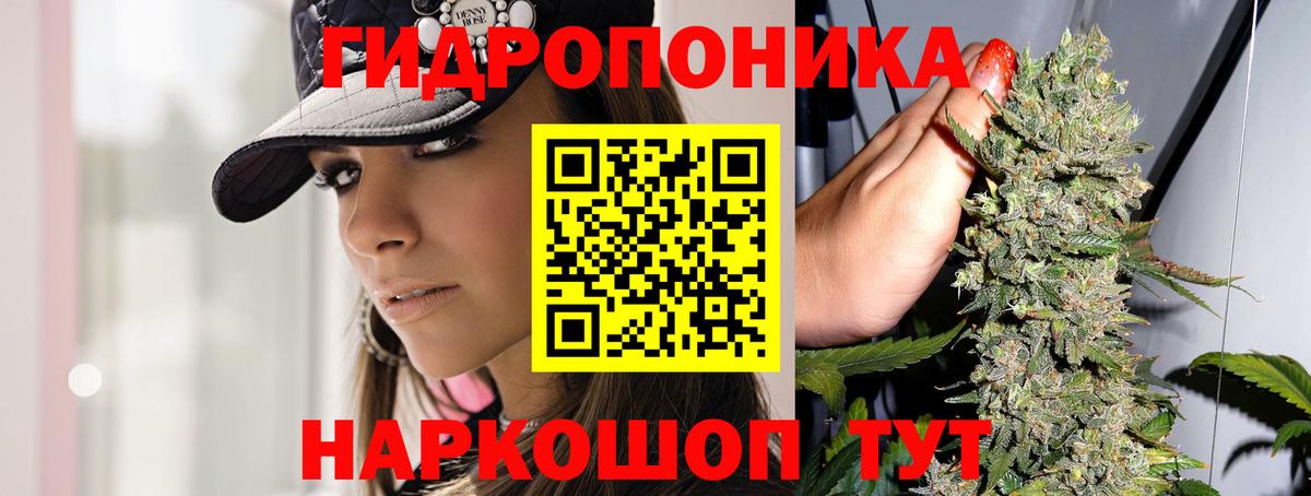 Бошки Шишки план  Бошки Шишки OG Kush  Дальнегорск  Бошки Шишки индика  Вход с VPN 